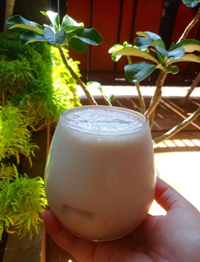 Susu kurma