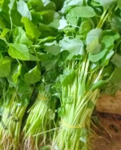 Takaran garam pas buat sayur bayam day,1