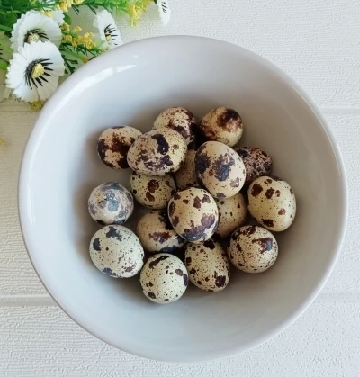 Telur Puyuh