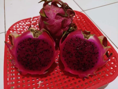 Tips memakan buah naga