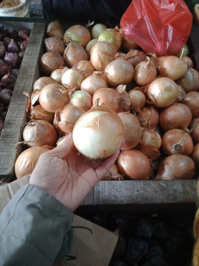 Tips memilih bawang Bombay untuk stok di dapur yg baik