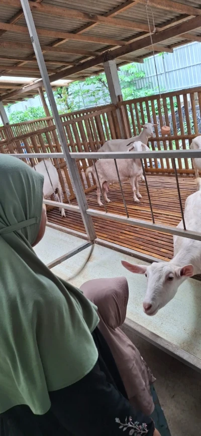 Tips Memilih Hewan Kurban