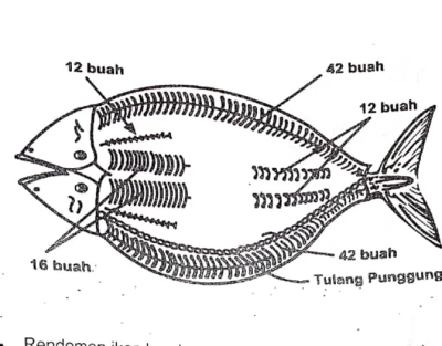 Tips menghilangkan  Duri di Ikan Bandeng
