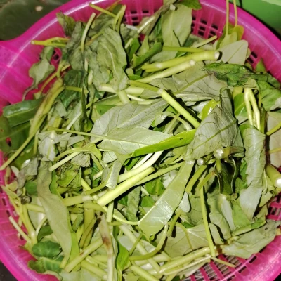 Tumis KANGKUNG