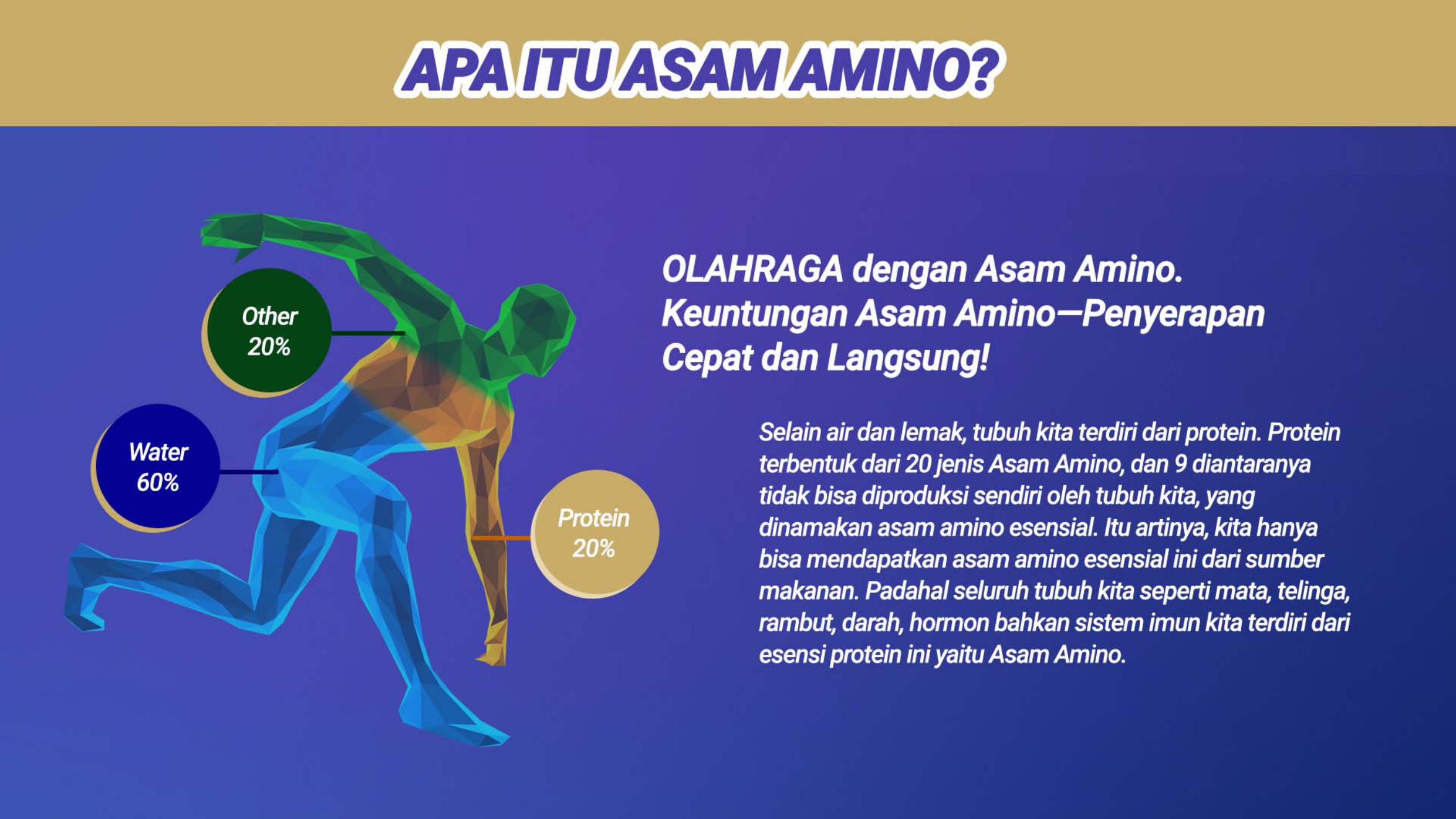 Apa itu asam amino?