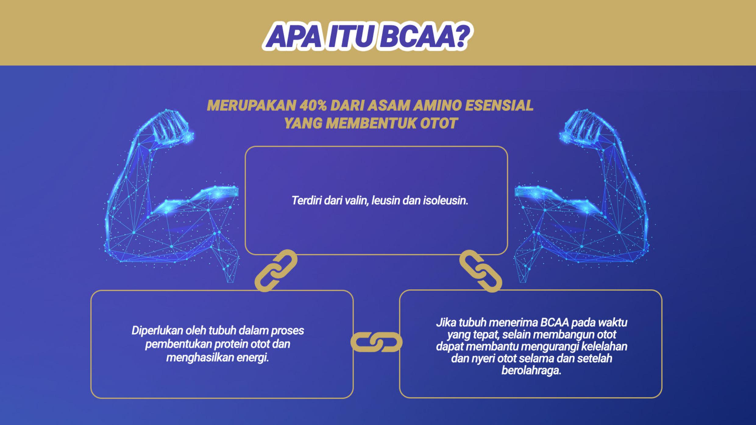 Apa itu BCAA?