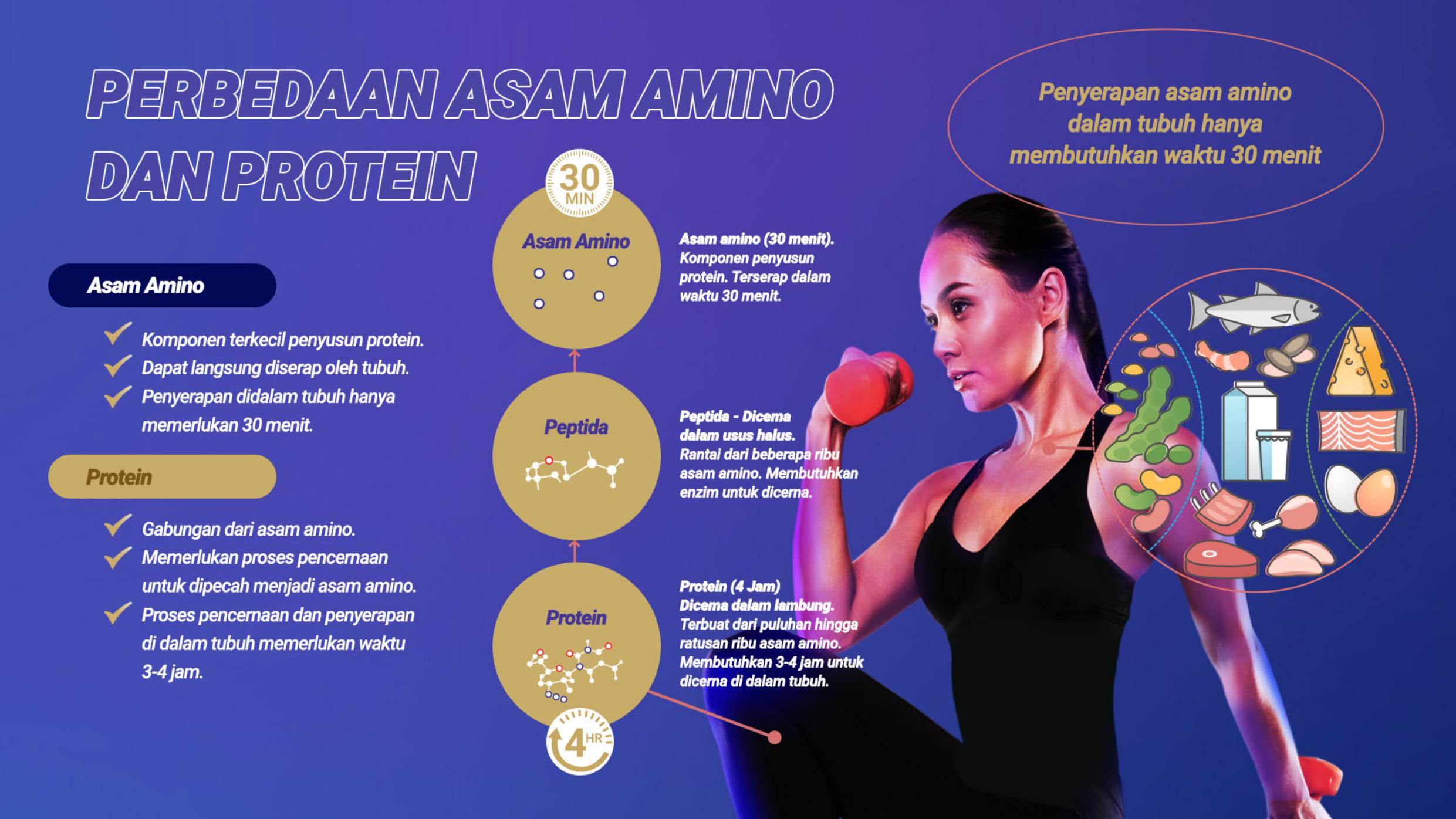 Perbedaan Asam Amino dan Protein