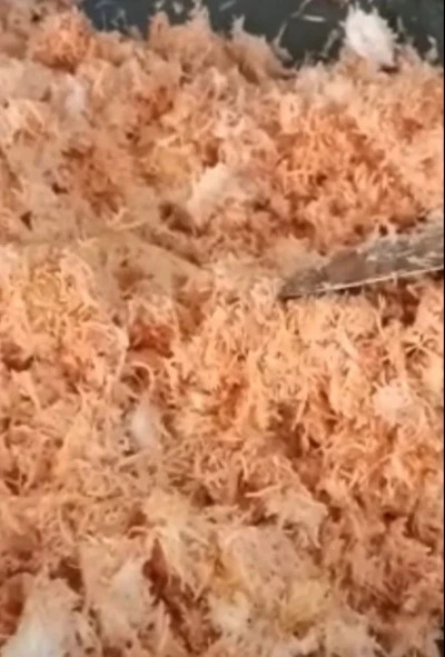 Langkah 1