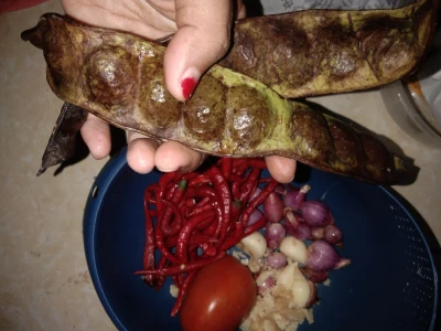 Langkah 1