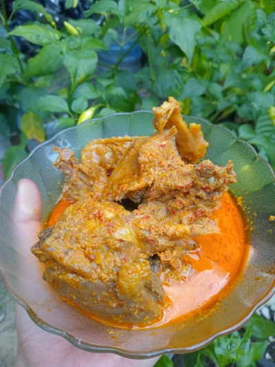 Gulai ayam kampung ala masako