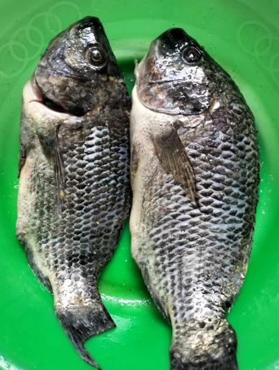 Langkah 1