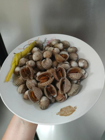 Kerang rebus