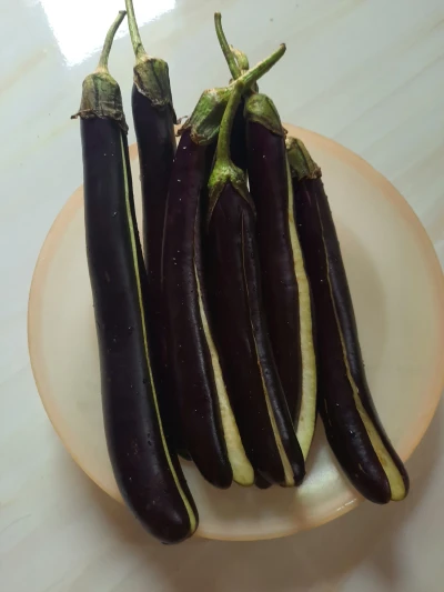 Langkah 1