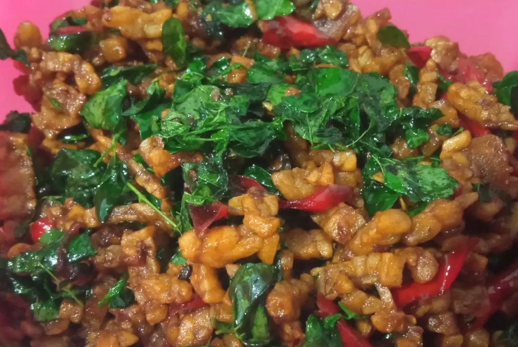 Orek Tempe Cabe Kelor