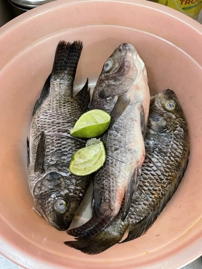 Langkah 1