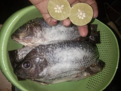 Langkah 2