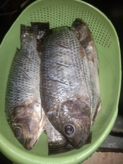 Langkah 1