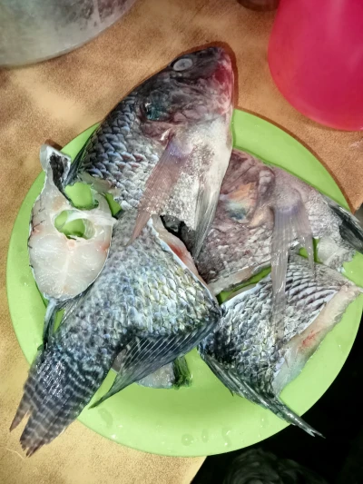 Langkah 1
