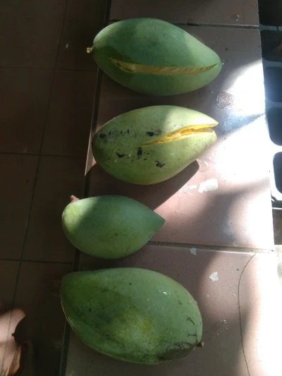 Langkah 2