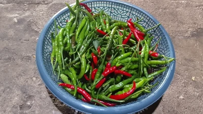 Langkah 2