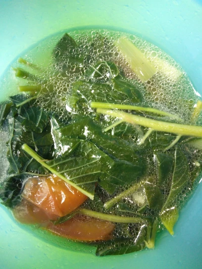 Sayur Bayam
