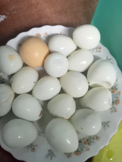 Langkah 1