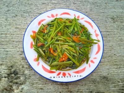 TUMIS KANGKUNG FAVORIT