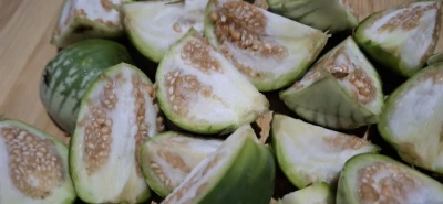 Langkah 1