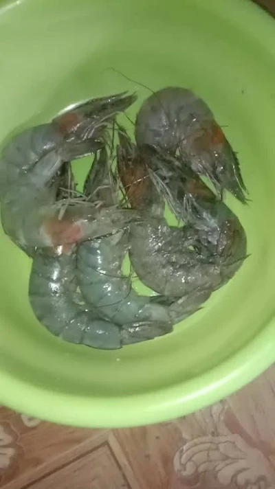 Langkah 1